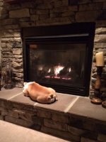 Joey's Spot.jpg Joey's Spot.jpg