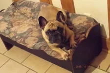 DSCF5457.webp