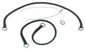 Show collar.webp