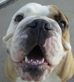 20131014_144216-1.webp