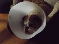 DSCF5696.webp