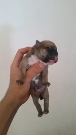 20150822_152737.webp