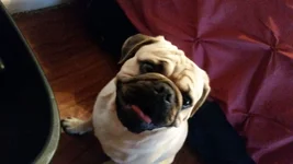 20150822_173146.webp