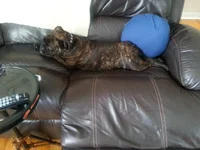 My seat now.webp