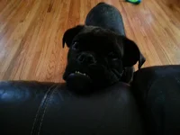 Can I come up.webp