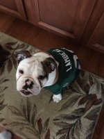 ImageUploadedByTapatalk1441401102.654511.jpg ImageUploadedByTapatalk1441401102.654511.jpg