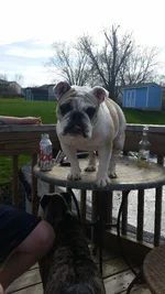 20150412_165945.webp