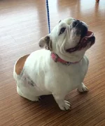 lola lynn.webp lola lynn.webp