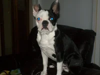 100_0915.webp