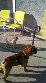 IMAG0062.webp