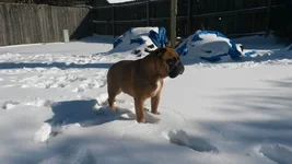20150305_150720.webp