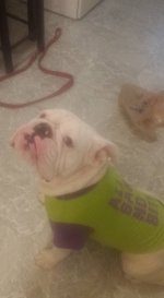 image.jpeg image.jpeg