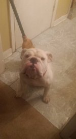 image.jpeg image.jpeg