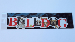 magnet_zpst6dogwzr.PNG magnet_zpst6dogwzr.PNG