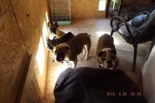 DSCF5465.webp