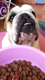 2015-05-24 09.07.07.webp