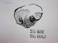 nose.webp nose.webp