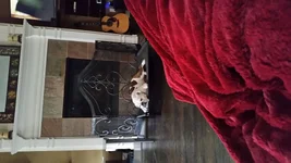 20160221_170855.webp