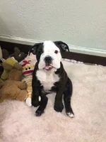 Sophie tongue.webp