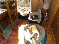 DSCF5679.webp