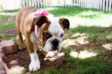 2015-05-26.webp