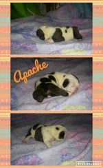 Collage 2016-03-11 14_47_13.webp Collage 2016-03-11 14_47_13.webp