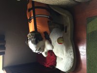 image.jpeg image.jpeg