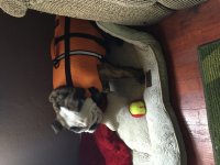 image.jpeg image.jpeg
