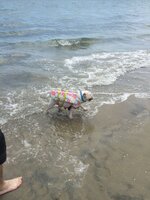 IMG_0730.JPG