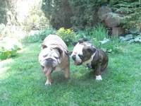 bilder 8 385.webp