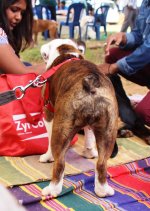 IMG_1428.JPG IMG_1428.JPG