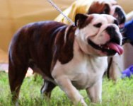 IMG_1444.JPG IMG_1444.JPG