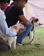 IMG_1447.JPG IMG_1447.JPG