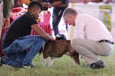 IMG_1450.JPG IMG_1450.JPG