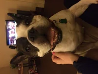 image.webp