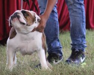 IMG_1452.JPG IMG_1452.JPG