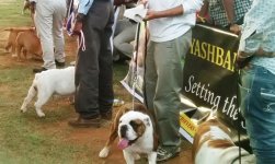 IMG_20151128_171200468.jpg IMG_20151128_171200468.jpg