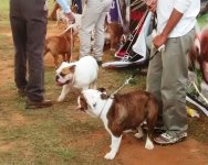 IMG_20151128_171531086.jpg IMG_20151128_171531086.jpg