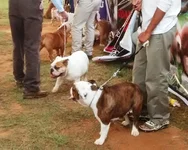 IMG_20151128_171531086.webp