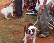 IMG_20151128_171536143.jpg IMG_20151128_171536143.jpg