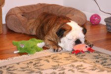 IMG_9374.JPG IMG_9374.JPG