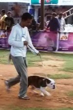 IMG_20151128_172911188.jpg IMG_20151128_172911188.jpg