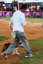 IMG_20151128_172938494.jpg IMG_20151128_172938494.jpg