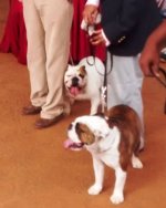 IMG_20151129_112135291.jpg IMG_20151129_112135291.jpg