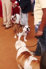 IMG_20151129_112140315.jpg IMG_20151129_112140315.jpg