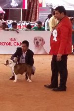 IMG_20151129_112240330.jpg IMG_20151129_112240330.jpg