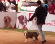 IMG_20151129_112259545.jpg IMG_20151129_112259545.jpg