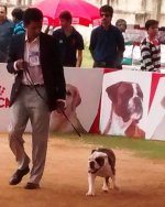 IMG_20151129_112303747.jpg IMG_20151129_112303747.jpg