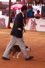 IMG_20151129_112313659.jpg IMG_20151129_112313659.jpg