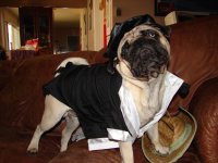 DSC06079.JPG DSC06079.JPG